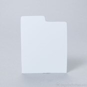 White Polystyrene (plastic) CD Divi